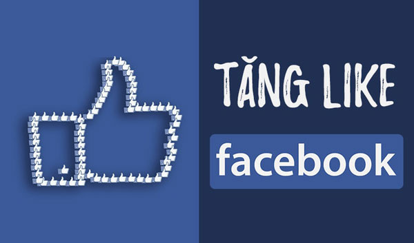 Hướng dẫn sử dụng dịch vụ hack like facebook giá rẻ, uy tín tại Like5s.VN