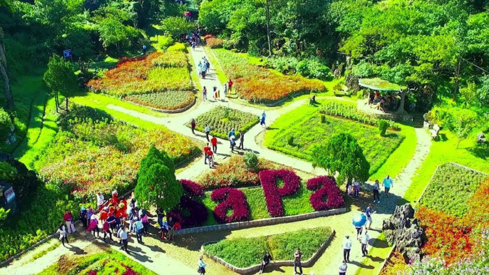 Top 5 bài hát về Sapa sâu sắc và ý nghĩa nhất mà bạn nên biết
