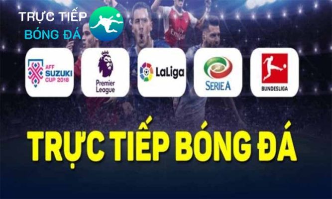 Tructiepbongda.cc – Nơi Xem Các Giải Đấu Đỉnh Cao Thế Giới