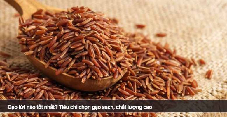 Gạo lứt nào tốt nhất? Tiêu chí chọn gạo sạch, chất lượng cao