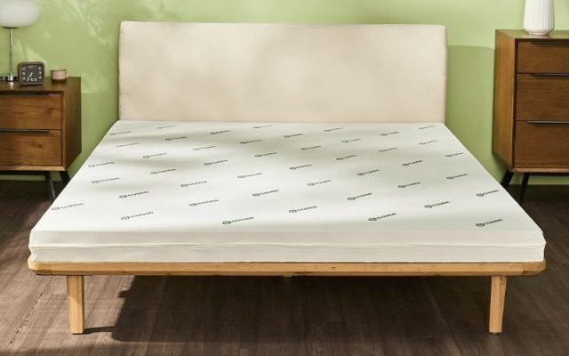 Nên mua đệm cao su hay đệm lò xo túi độc lập? Loại nào tốt hơn?